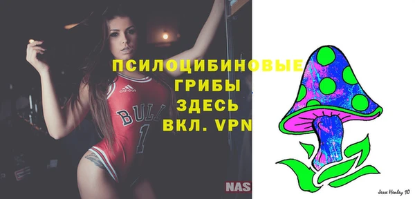 дмт Осташков
