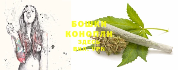 дмт Осташков