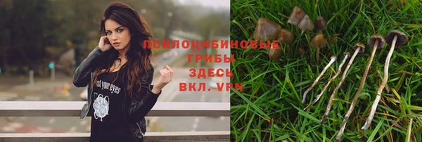 герыч Осинники