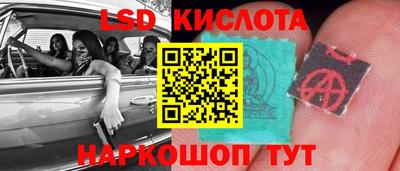 гашик Берёзовский