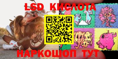 гашик Берёзовский