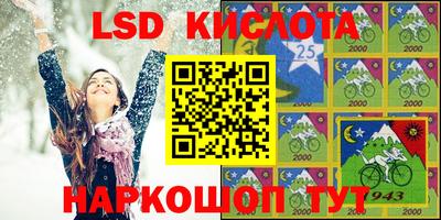 гашик Берёзовский