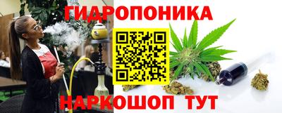 Альфа ПВП Кингисепп