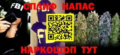 Альфа ПВП Кингисепп