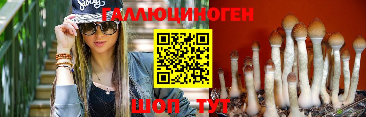 Галлюциногенные грибы прущие грибы Павловский Посад