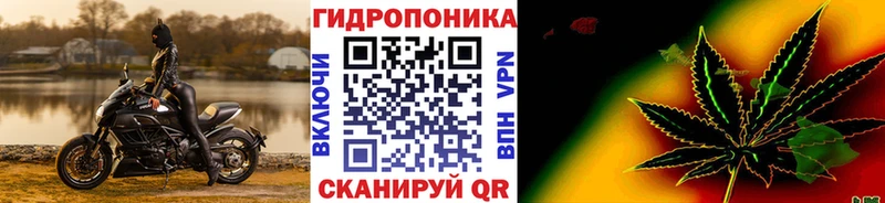 Бошки марихуана марихуана  kraken зеркало  Павловский Посад 